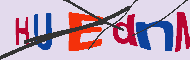 Code captcha