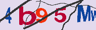 Code captcha